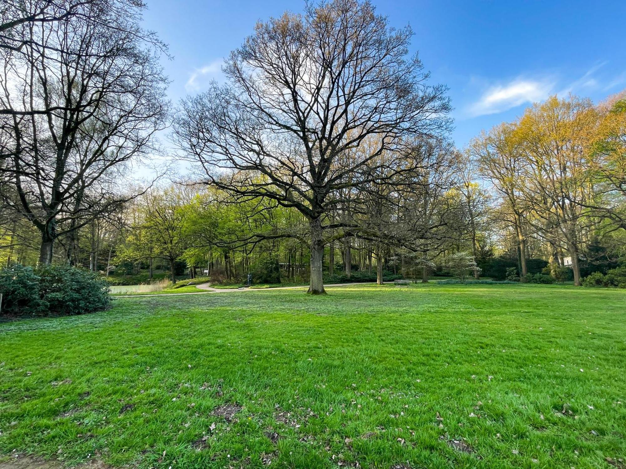 Landhaus Beim Knoops Park Bremen Bagian luar foto