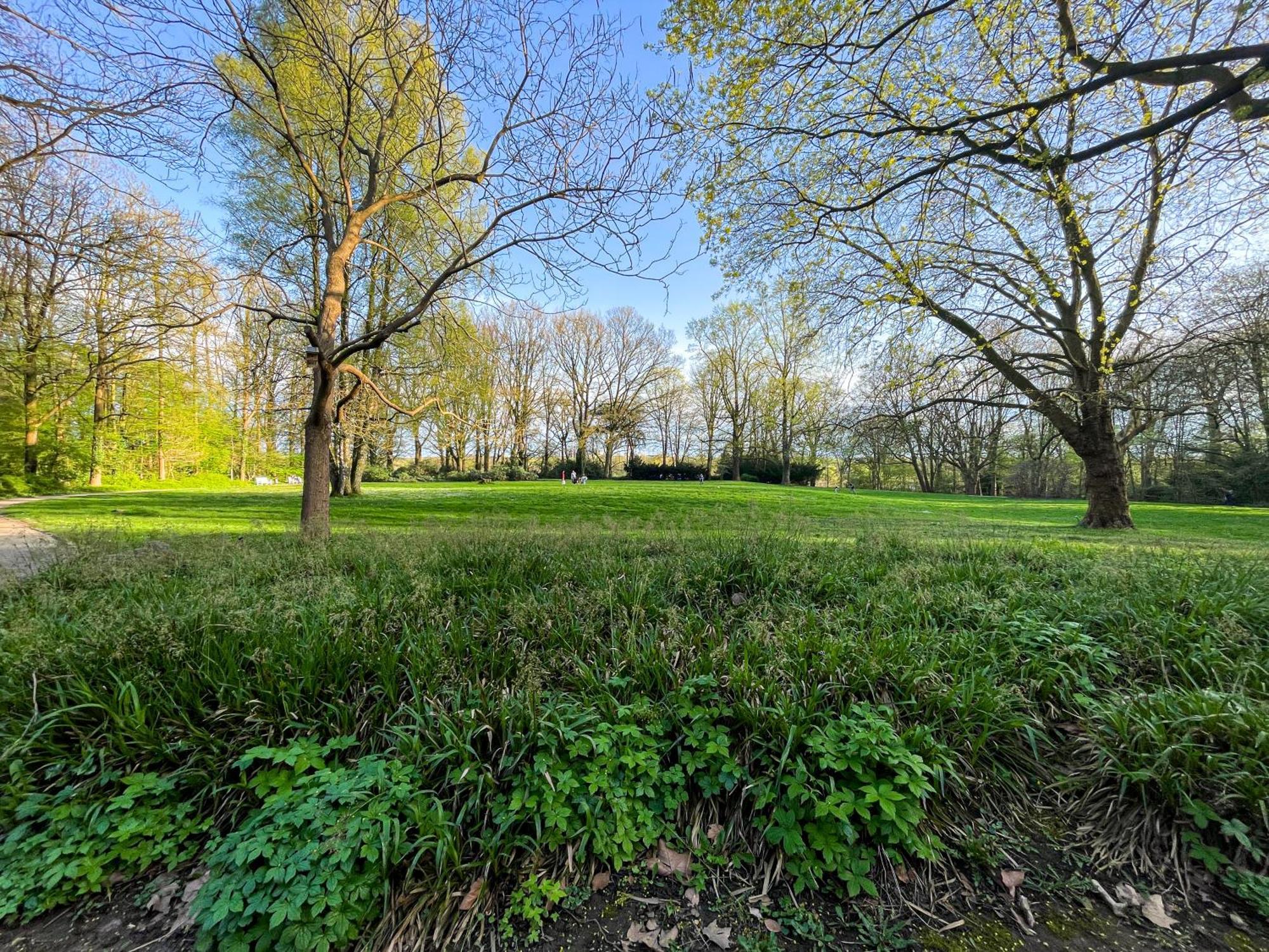 Landhaus Beim Knoops Park Bremen Bagian luar foto