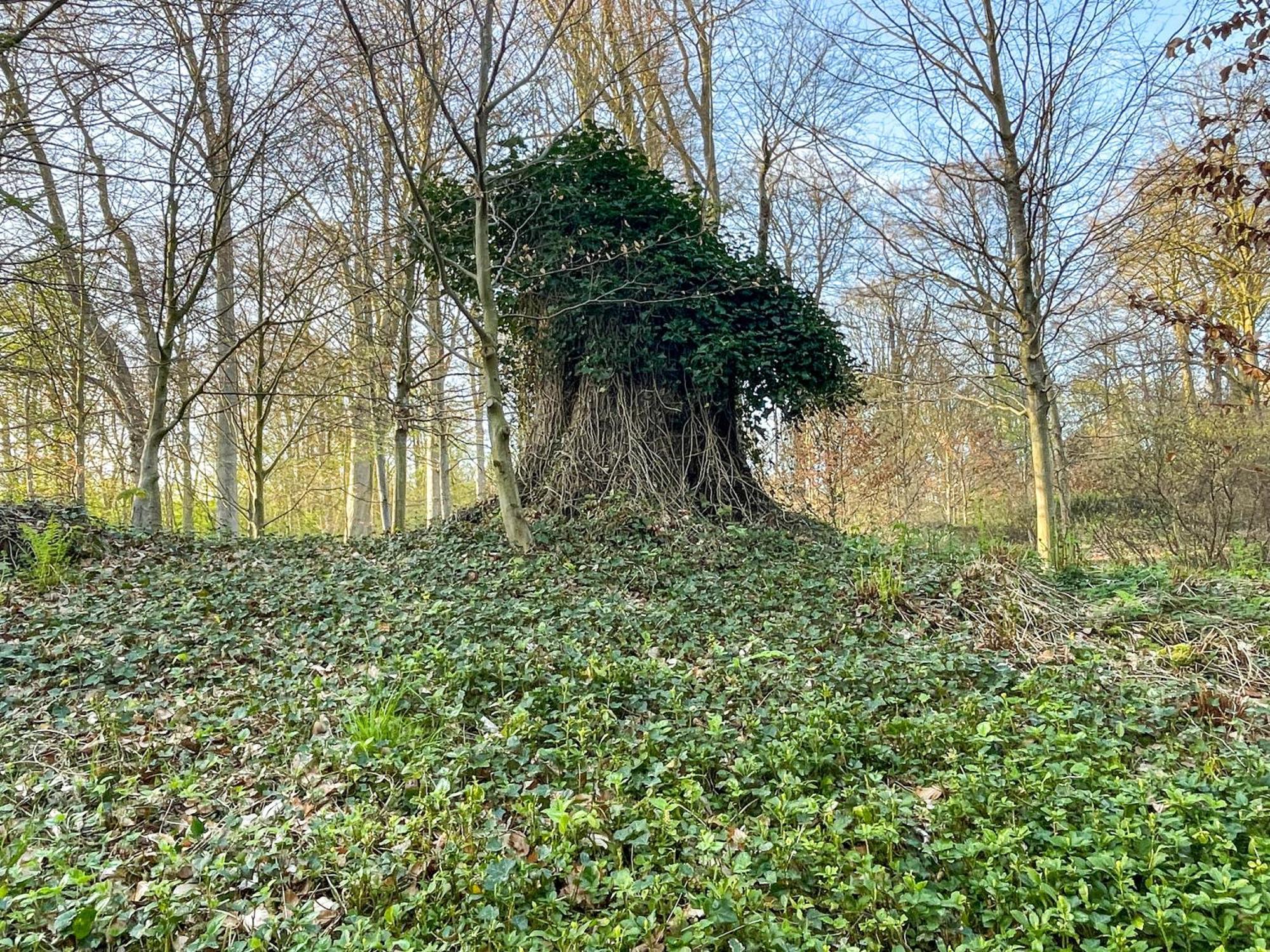 Landhaus Beim Knoops Park Bremen Bagian luar foto